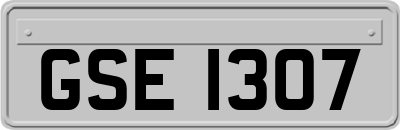 GSE1307
