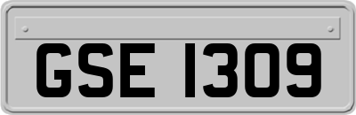 GSE1309