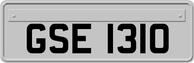 GSE1310
