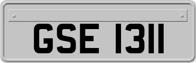 GSE1311
