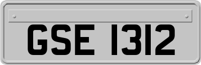 GSE1312