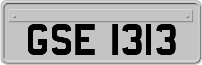 GSE1313