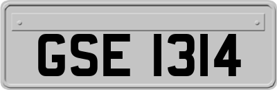 GSE1314