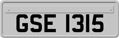 GSE1315