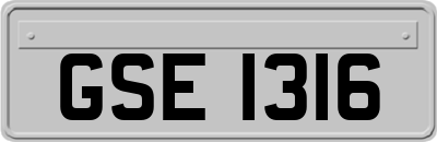 GSE1316