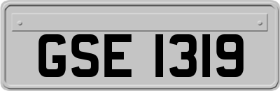 GSE1319