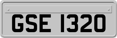 GSE1320