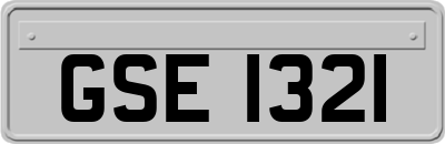 GSE1321