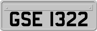 GSE1322