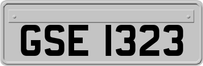 GSE1323