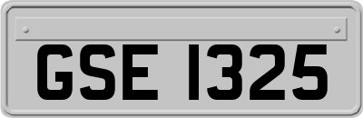 GSE1325