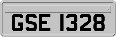 GSE1328