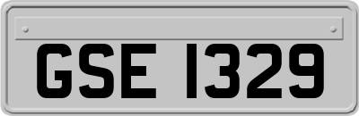 GSE1329
