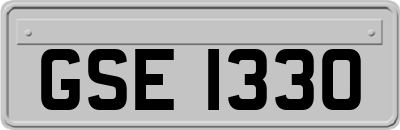 GSE1330