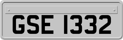 GSE1332