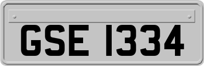 GSE1334