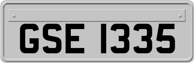 GSE1335