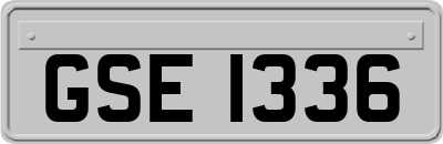 GSE1336
