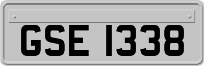 GSE1338
