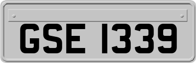 GSE1339