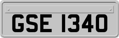 GSE1340
