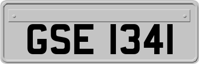 GSE1341