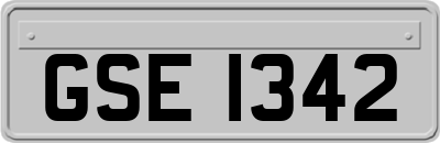 GSE1342