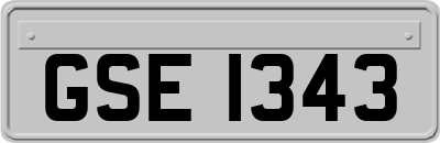 GSE1343