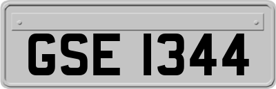 GSE1344