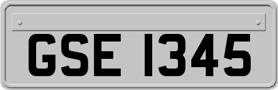 GSE1345