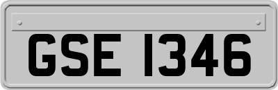 GSE1346