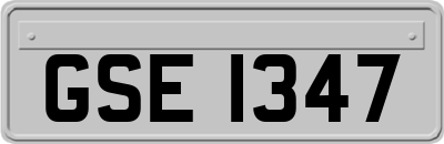 GSE1347