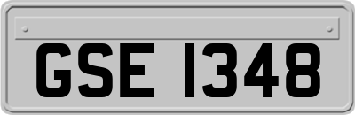 GSE1348