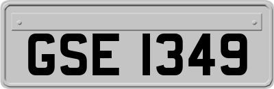 GSE1349