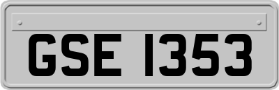 GSE1353