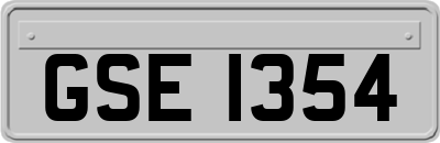 GSE1354
