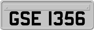 GSE1356
