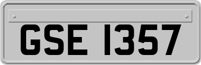GSE1357