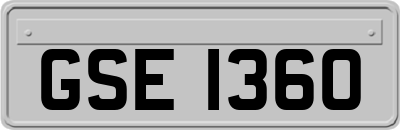 GSE1360