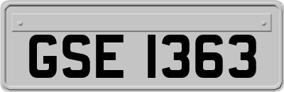GSE1363
