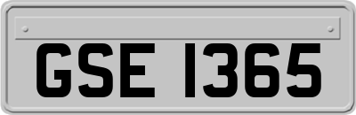 GSE1365