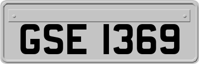 GSE1369