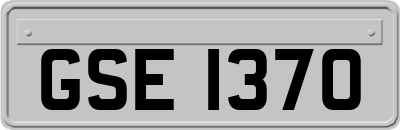 GSE1370
