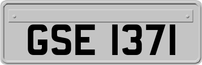 GSE1371
