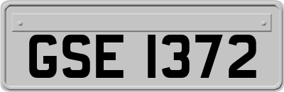 GSE1372