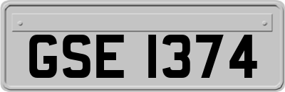 GSE1374