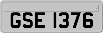GSE1376