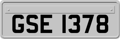 GSE1378