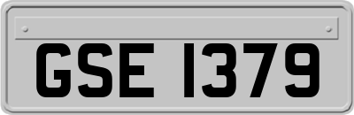 GSE1379