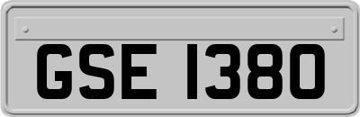 GSE1380